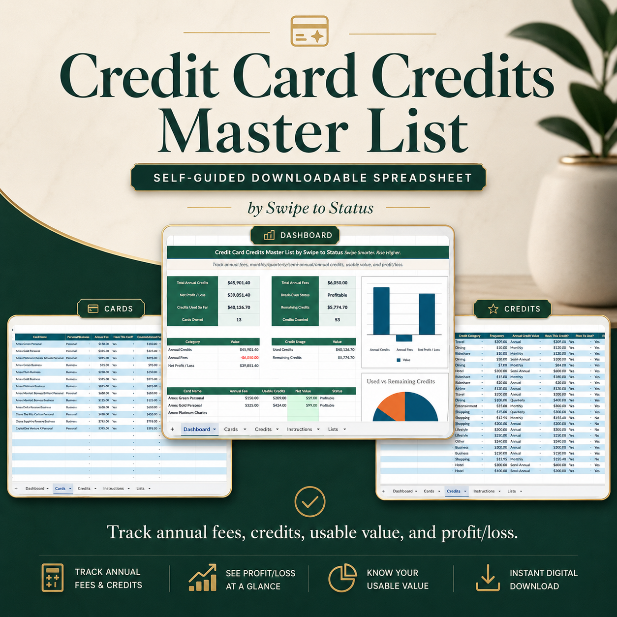 Credit Card Credits Master List Self-Guided Downloadable Spreadsheet